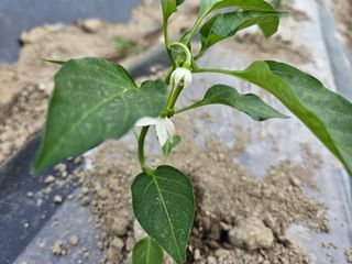 김용석님의 자유주제 · 자유게시판 작성글 사진
