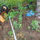 팜모닝 배추·일상 게시글 이미지