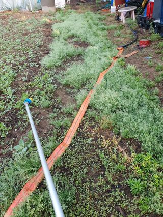 김종은님의 배추 · 일상 작성글 사진