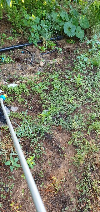 김종은님의 배추 · 일상 작성글 사진