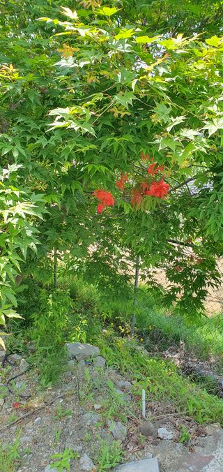 김종은님의 배추 · 일상 작성글 사진