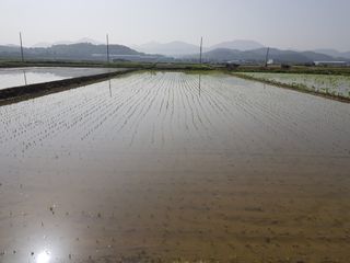 신동수님의 자유주제 · 자유게시판 작성글 사진