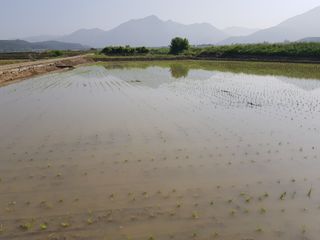 신동수님의 자유주제 · 자유게시판 작성글 사진