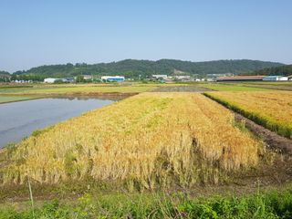 신동수님의 자유주제 · 자유게시판 작성글 사진