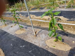 신동수님의 자유주제 · 자유게시판 작성글 사진