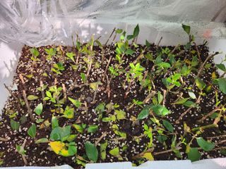 전남 해남 쥴리아님의 자유주제 · 자유게시판 작성글 사진