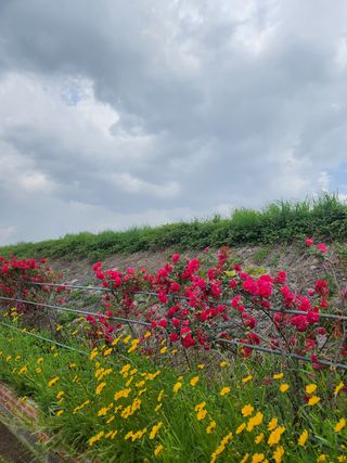알 수 없음님의 장터이야기 · 자유게시판 작성글 사진