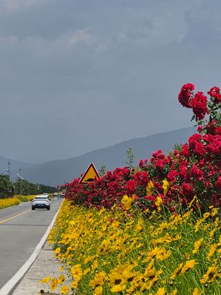 알 수 없음님의 장터이야기 · 자유게시판 작성글 사진