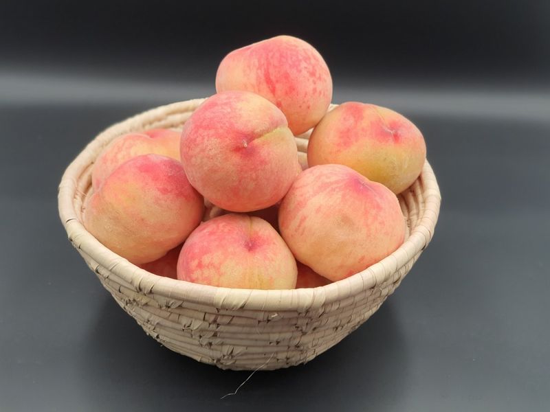 프룻하늬님의 장터 판매 상품 [천도복숭아, 딱딱이 복숭아 판매합니다.] 첨부 사진
