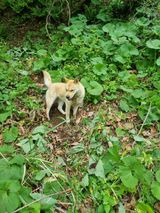 팜모닝 자유주제·사진전 게시글 이미지