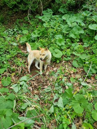 장광준님의 자유주제 · 사진전 작성글 사진