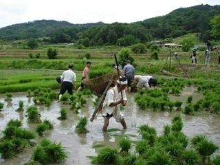 김인환님의 자유주제 · 사진전 작성글 사진