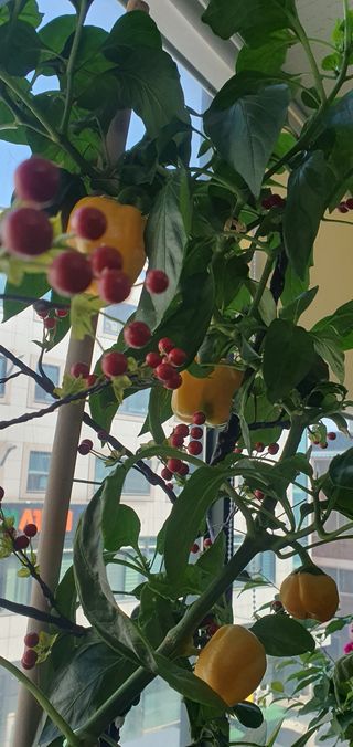 김인환님의 자유주제 · 사진전 작성글 사진