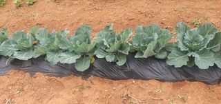 김인환님의 자유주제 · 사진전 작성글 사진