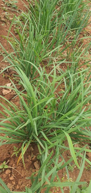 김인환님의 자유주제 · 사진전 작성글 사진
