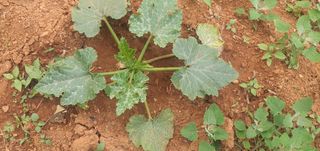 김인환님의 자유주제 · 사진전 작성글 사진