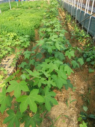 송포농원님의 자유주제 · 사진전 작성글 사진