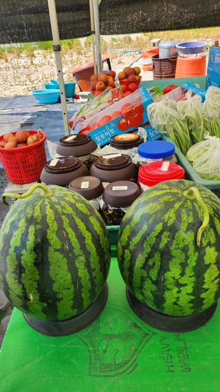 나길태님의 우리동네 · 동네수다 작성글 사진