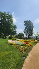 팜모닝 자유주제·자유게시판 게시글 이미지