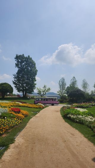 율촌 김은숙님의 자유주제 · 자유게시판 작성글 사진