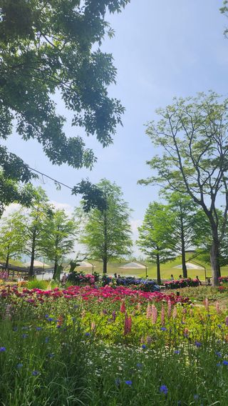 율촌 김은숙님의 자유주제 · 자유게시판 작성글 사진