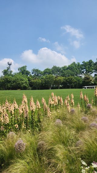 율촌 김은숙님의 자유주제 · 자유게시판 작성글 사진