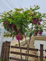 팜모닝 자유주제·사진전 게시글 이미지