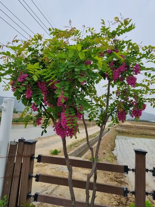 정해란님의 자유주제 · 사진전 작성글 사진