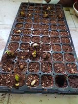 팜모닝 자유주제·자유게시판 게시글 이미지