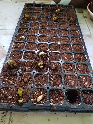 김경희님의 자유주제 · 자유게시판 작성글 사진