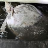 팜모닝 자유주제·자유게시판 게시글 이미지