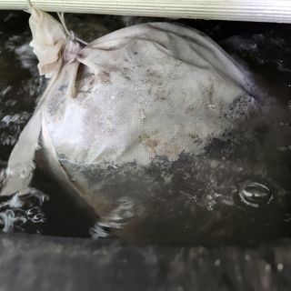 정복자제주빌레왓감귤님의 자유주제 · 자유게시판 작성글 사진