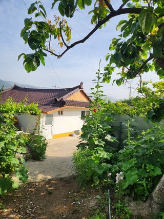 알 수 없음님의 우리동네 · 동네수다 작성글 사진