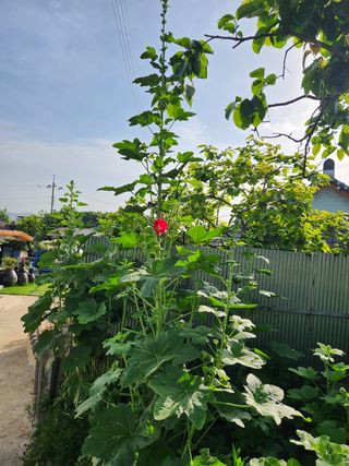 알 수 없음님의 우리동네 · 동네수다 작성글 사진