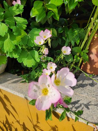 알 수 없음님의 우리동네 · 동네수다 작성글 사진