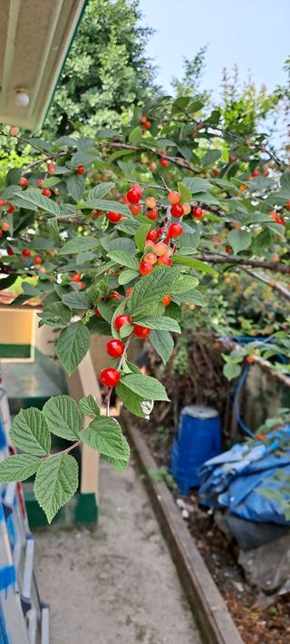 장준재님의 기타작물 · 자유게시판 작성글 사진