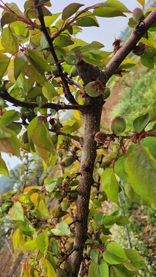 김호영님의 자유주제 · 사진전 작성글 사진