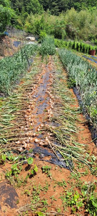송인만님의 자유주제 · 자유게시판 작성글 사진