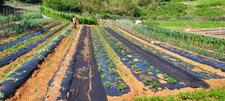 송인만님의 자유주제 · 자유게시판 작성글 사진