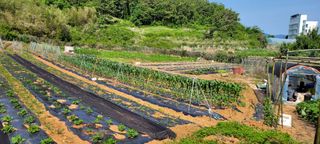 송인만님의 자유주제 · 자유게시판 작성글 사진
