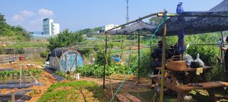 송인만님의 자유주제 · 자유게시판 작성글 사진