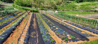 송인만님의 자유주제 · 자유게시판 작성글 사진