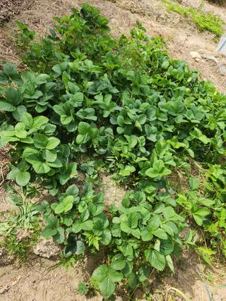 그린뉴딜님의 자유주제 · 자유게시판 작성글 사진