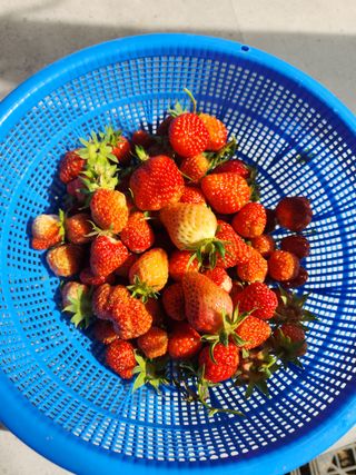 그린뉴딜님의 자유주제 · 자유게시판 작성글 사진