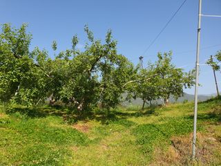 이훈희님의 사과 · 일상 작성글 사진