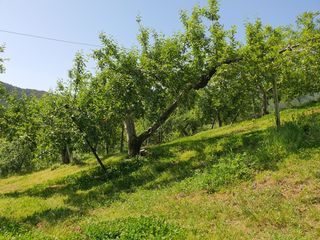 이훈희님의 사과 · 일상 작성글 사진