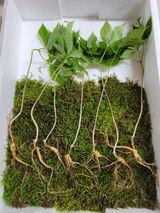 팜모닝 · 게시글 이미지