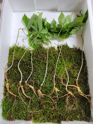 김봉호님의 작성글 사진