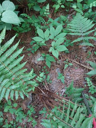김봉호님의 작성글 사진