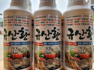 안산제일농약사님의 작성글 사진